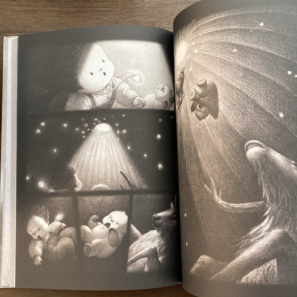 The Only Child by Guojing (hardcover) Ex-Library Picture Book Graphic Adventure - Picture 7 of 12